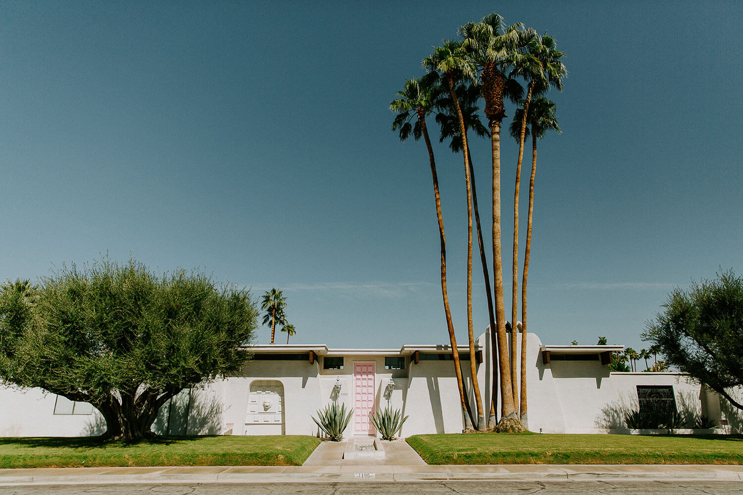A cluster of tall palm trees standing outside a house in Palm Springs