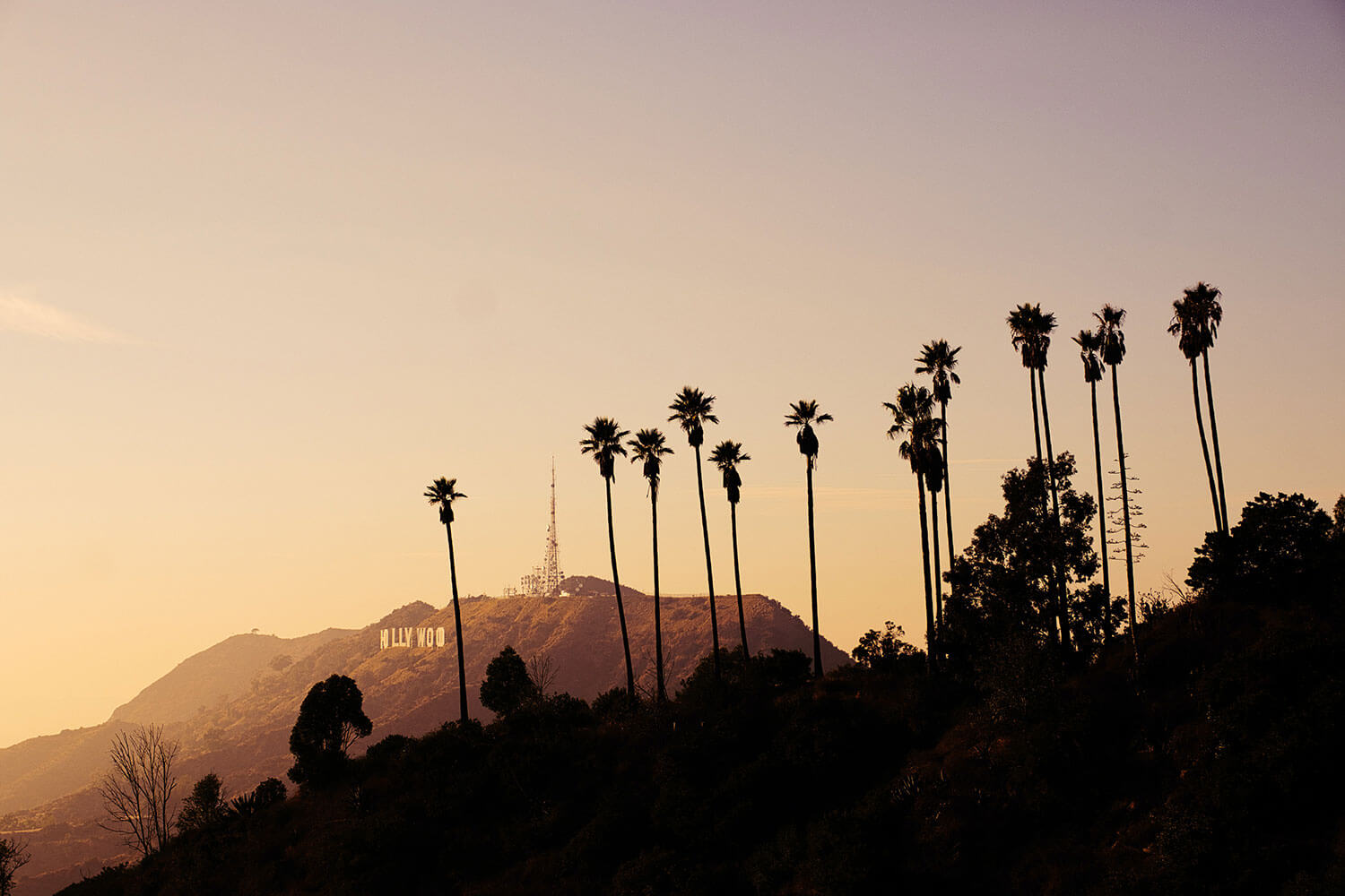The Hollywood sign far in the distance at sunset, with tall palm trees in silhouette in the foreground