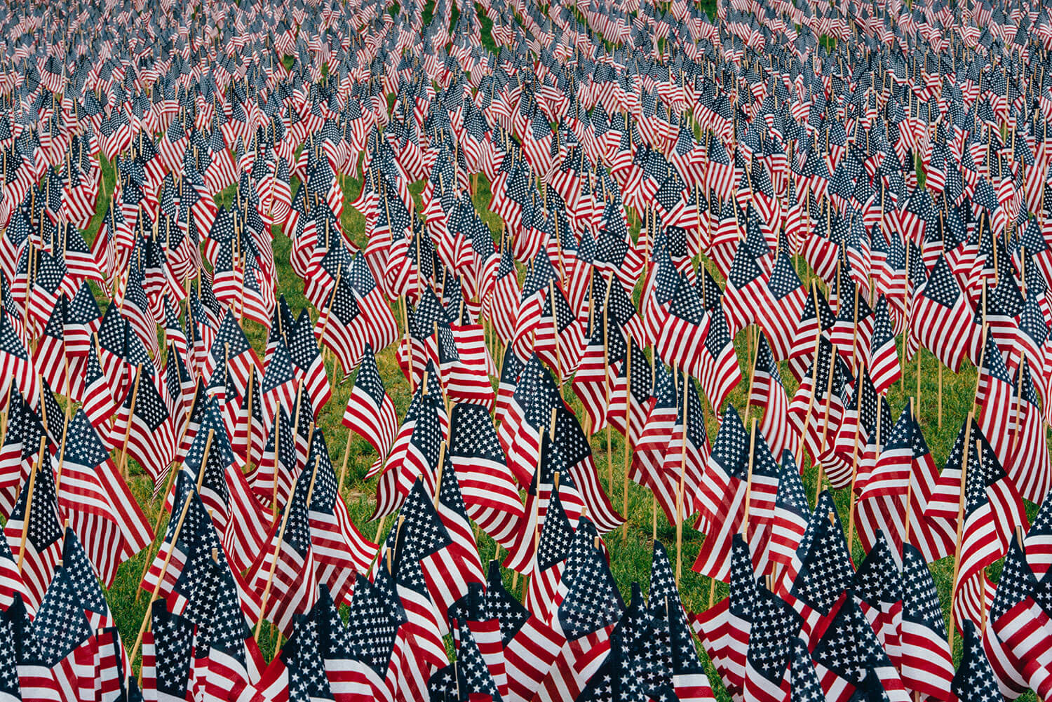 Thousands of small American Flags stuck in the grass