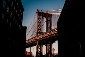 Read more about the article USA: Evisa Considerations for Dual Citizens