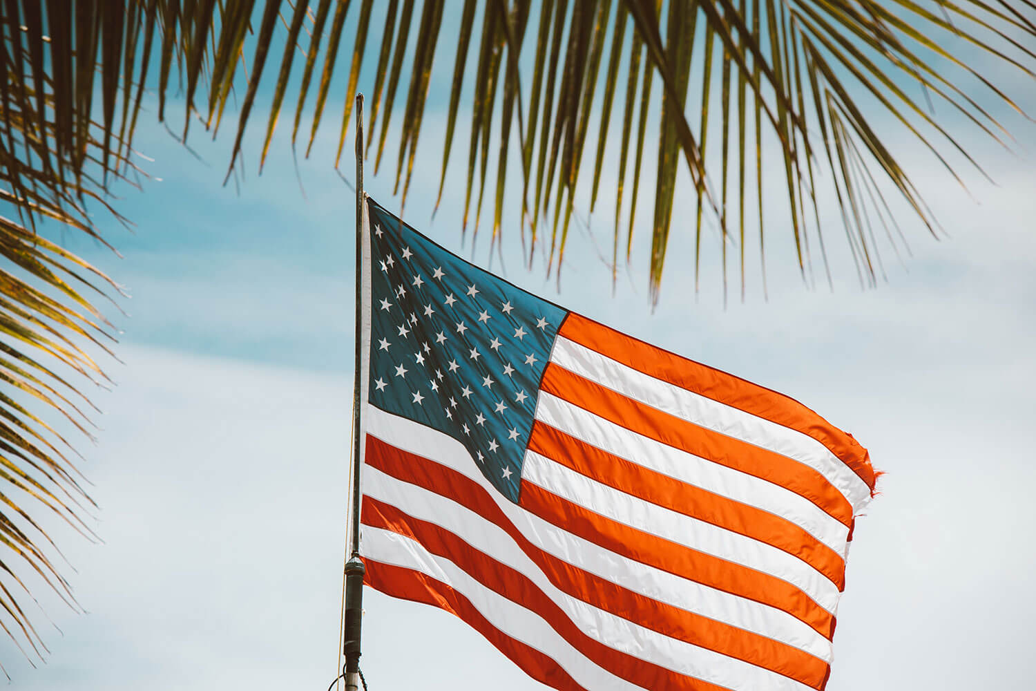 American Flag blowing in the wind with palm fronds in the foreground