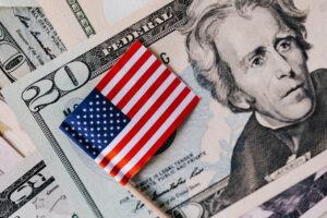 Read more about the article Comprehensive Guide to Navigating USA Airports for Visa Waiver Travelers