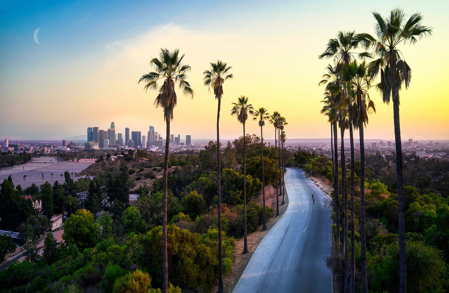 Palm tree lined street shot from above with the Los Angeles skyline off in the far distance